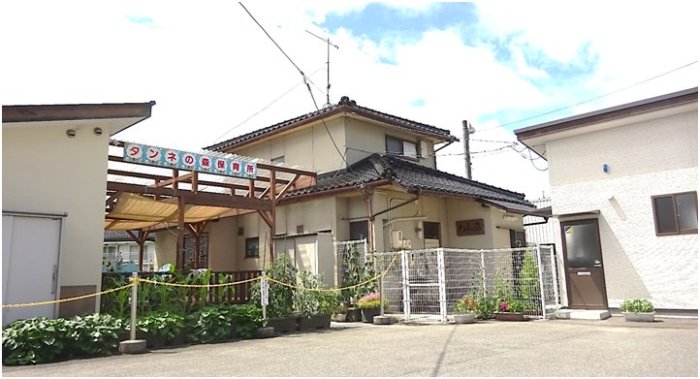 たんねの森 保育所 写真